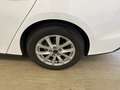 Ford Focus 1.5 EcoBlue Cool&Connect AHK Weiß - thumbnail 11