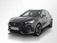CUPRA Formentor VZ 2.0 TSI DSG LED / DAB / PDC / Panorama / Full-L Grün - thumbnail 14