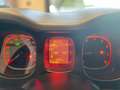 Fiat Panda Panda III 2022 1.0 firefly hybrid City Life s Grigio - thumbnail 16