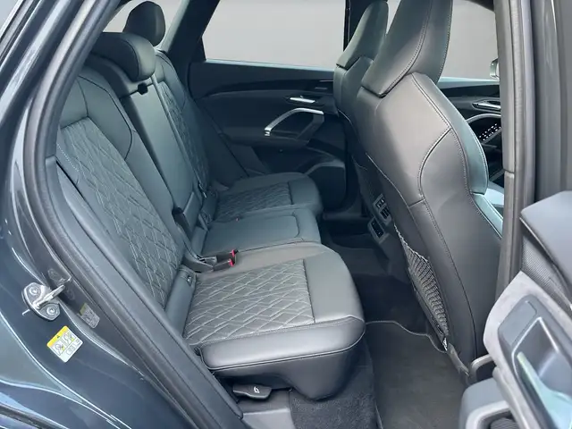 Audi SQ5 view 12