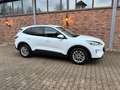 Ford Kuga Cool & Connect Weiß - thumbnail 2