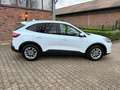 Ford Kuga Cool & Connect Weiß - thumbnail 10