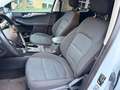 Ford Kuga Cool & Connect Weiß - thumbnail 17