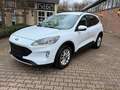 Ford Kuga Cool & Connect Weiß - thumbnail 13