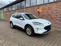 Ford Kuga Cool & Connect Weiß - thumbnail 4