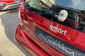 smart forTwo EQ Passion 22KW Rosso - thumbnail 22