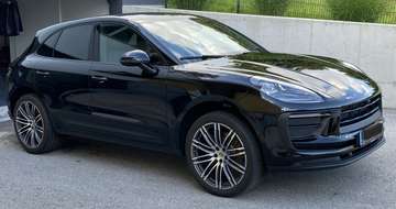 Macan