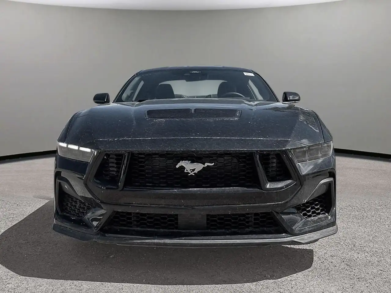 Ford Mustang fotografie Ford Mustang