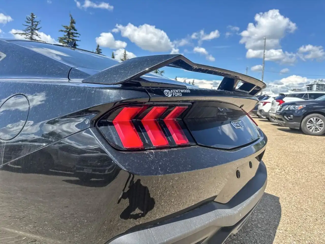 Ford Mustang fotografie Ford Mustang