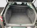 Skoda Superb Combi Ambition 2.0 TDI AHK Panodach Navi Digitales Schwarz - thumbnail 19