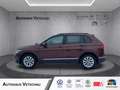 Volkswagen Tiguan Life 1.5 TSI DSG Navi/LED/Sitzhzg Bluetooth Braun - thumbnail 1