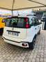 Fiat Panda New Panda III Cross 1.2 69 Cv EasyPower GPL Bianco - thumbnail 6