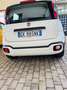 Fiat Panda New Panda III Cross 1.2 69 Cv EasyPower GPL Bianco - thumbnail 8
