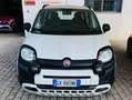 Fiat Panda New Panda III Cross 1.2 69 Cv EasyPower GPL Bianco - thumbnail 2
