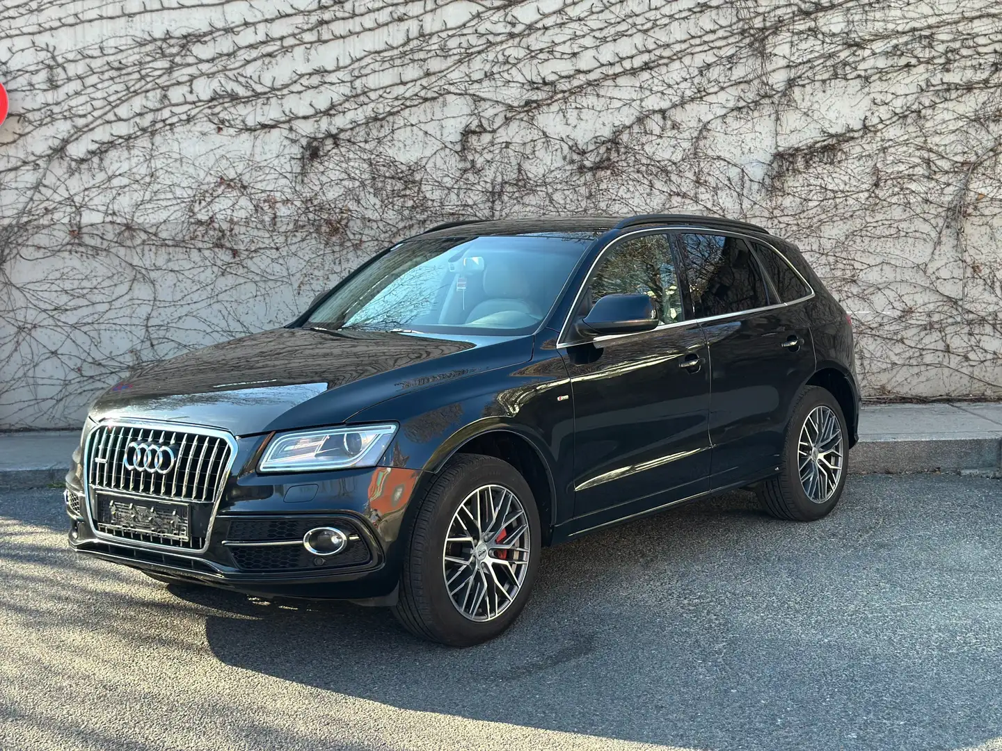 Audi Q5 3.0 TDI quattro Schwarz - 1