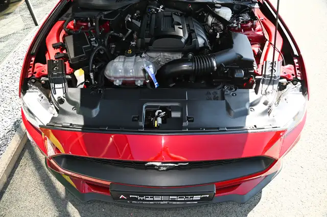 Ford Mustang view 8