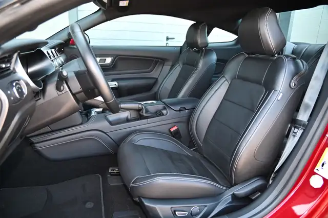 Ford Mustang view 12