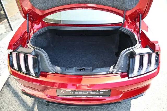 Ford Mustang view 9
