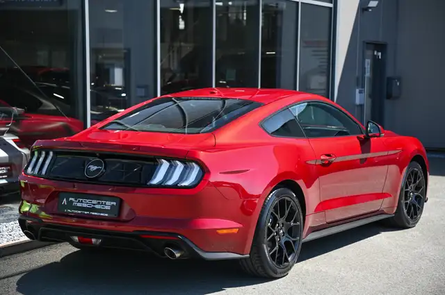 Ford Mustang view 5