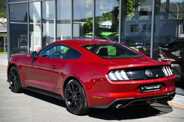 Ford Mustang view 6
