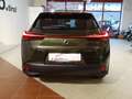 Lexus UX 250h Style-Ed.*HYBRID *ASSISTENZ *NEUWERTIG Grün - thumbnail 7
