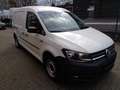 Volkswagen Caddy Maxi 2.0 TDI, DSG, Klimatr., Tempomat Weiß - thumbnail 1