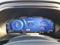 Ford Focus 1,0 EcoBoost Hybrid ST-Line X Weiß - thumbnail 13