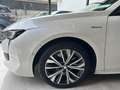 Peugeot 508 Plug-in Hybrid 225 e-EAT8 SW GT Pack Bianco - thumbnail 11