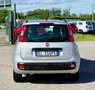 Fiat Panda 1.2 Easy 69cv Neopatentati Argent - thumbnail 5