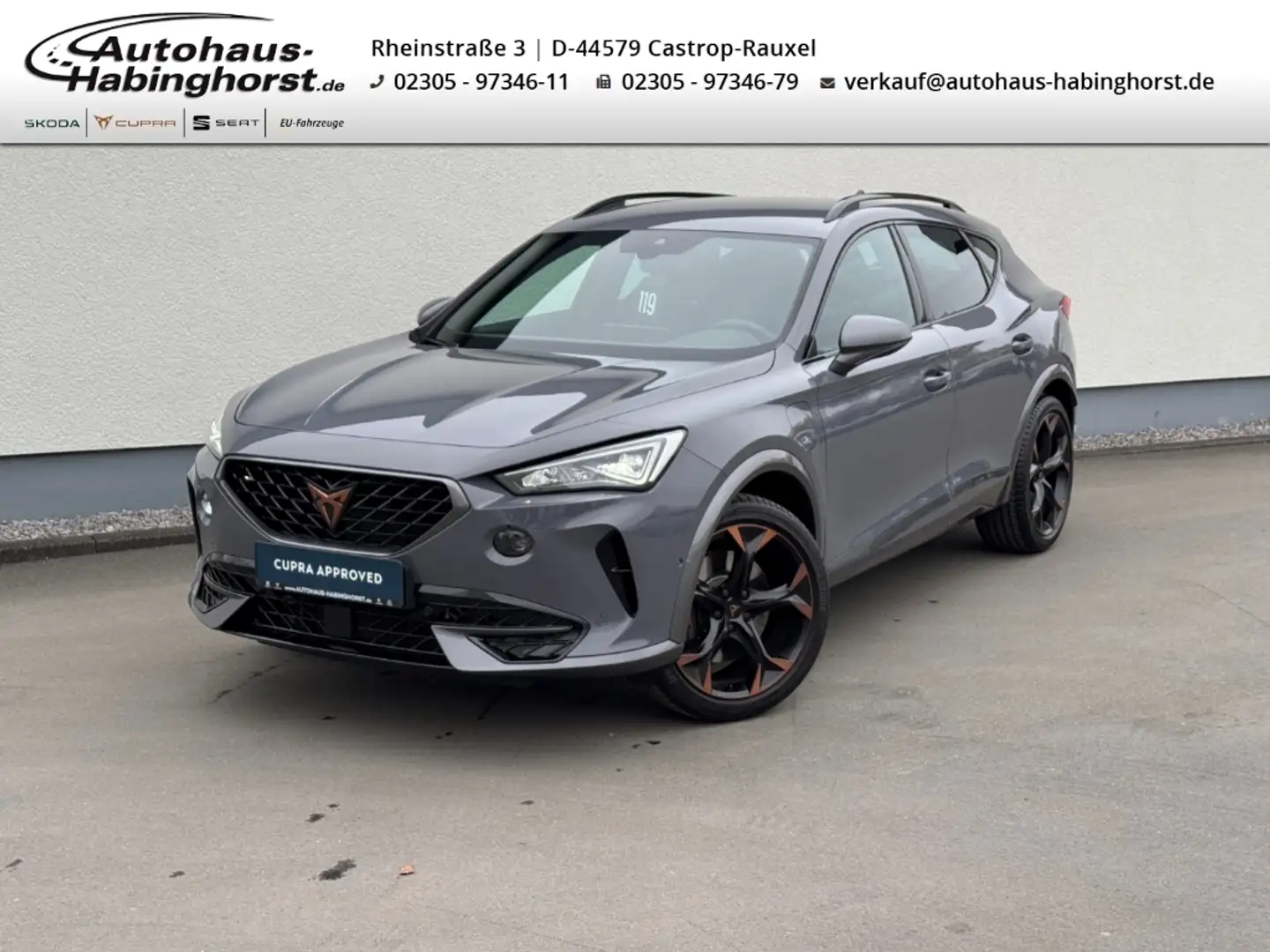 CUPRA Formentor VZ 1.4 e-Hybrid DSG DCC LED Shz PDC 19Alu Grau - 1