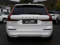 Volvo XC60 B4 Core aus 1.Hand LEDER NAVI FACEL. LED Weiß - thumbnail 4