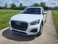Audi Q2 1.5 35 TFSI automaat 2025 3.008km Blanc - thumbnail 18