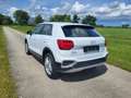 Audi Q2 1.5 35 TFSI automaat 2025 3.008km Blanc - thumbnail 10