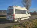 Mercedes-Benz Sprinter 313 CDI Weiß - thumbnail 1