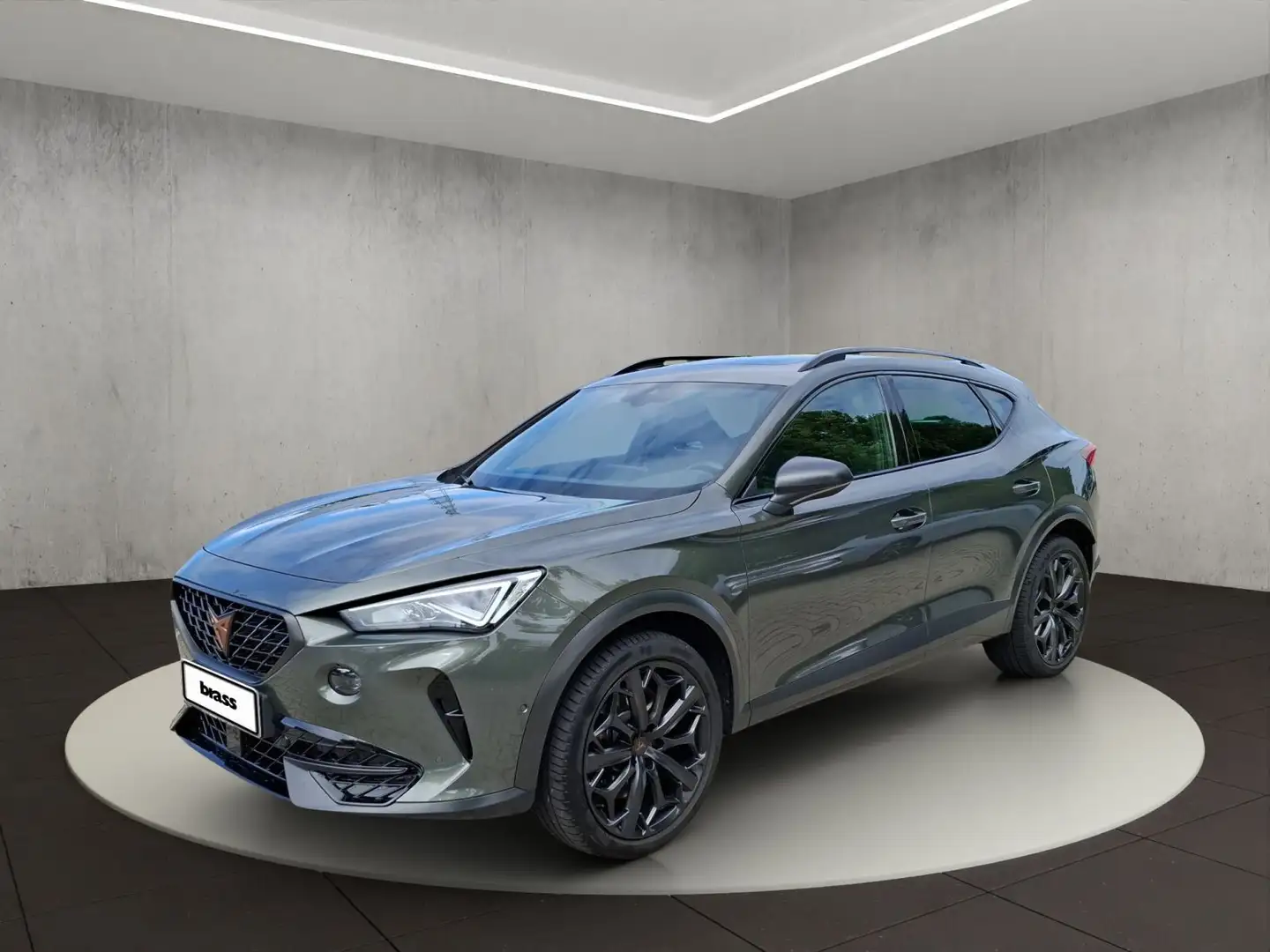 CUPRA Formentor 2.0 TSI VZ Tribe Edition Grau - 1