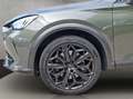 CUPRA Formentor 2.0 TSI VZ Tribe Edition Grau - thumbnail 20