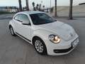 Volkswagen Beetle 1.6TDI Design 105 Blanco - thumbnail 1