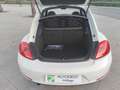 Volkswagen Beetle 1.6TDI Design 105 Blanco - thumbnail 8