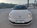 Volkswagen Beetle 1.6TDI Design 105 Blanco - thumbnail 13