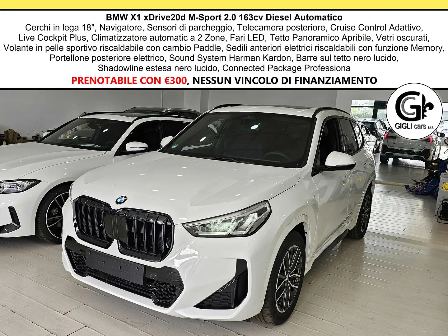 BMW X1 20d xDrive MSport Tetto Navi C.18" Cam M-Sport Nav Weiß - 1