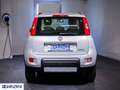 Fiat Panda Panda 0.9 TwinAir Turbo S&S Trekking - "PREZZO VE Argento - thumbnail 5