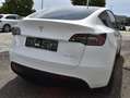 Tesla Model Y Long Range Dual AWD Weiß - thumbnail 4