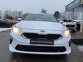 Kia Ceed SW / cee'd SW 1,5 Vision AT AHK NAVI Kamera Blanc - thumbnail 10