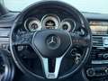 Mercedes-Benz CLS 350 CDI AUTO./6CILL/SCHUIFDAK/LEDER/CRUISE/LMV Grau - thumbnail 25