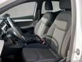 SEAT Ibiza Xcellence Weiß - thumbnail 8