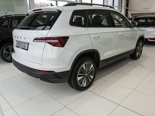 Skoda Karoq view 3