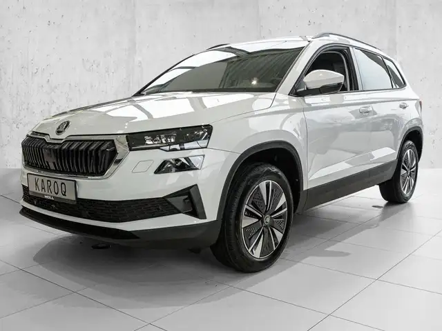 Skoda Karoq view 2