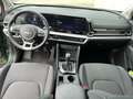 Kia Sportage SILBER UVO 1.6 CRDI MT6 116 LP.: € 40.040,00 Grün - thumbnail 10
