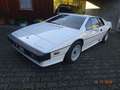 Lotus Esprit Turbo HCI, 42600km, Technisch überholt !! Blanco - thumbnail 1