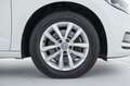 Volkswagen Touran 1.6 TDI 115 CV DSG Business BlueMotion Technology Bianco - thumbnail 13